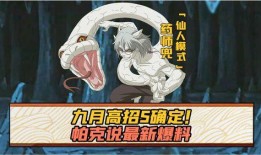 忍者帕克最新爆料,暗影崛起，全新爆料揭秘神秘力量与宿命对决