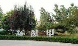 石家庄桃园里最新爆料,揭秘神秘爆料背后的真相