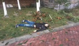 自贡跳楼最新爆料,细节披露，真相逐渐浮出水面