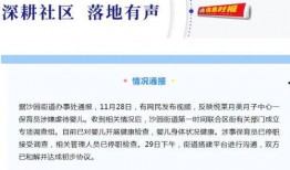 广州月子中心爆料视频最新,揭秘高端月子服务内幕