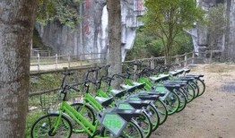 泰安景区爆料事件最新,惊现惊人内幕，游客权益如何保障？